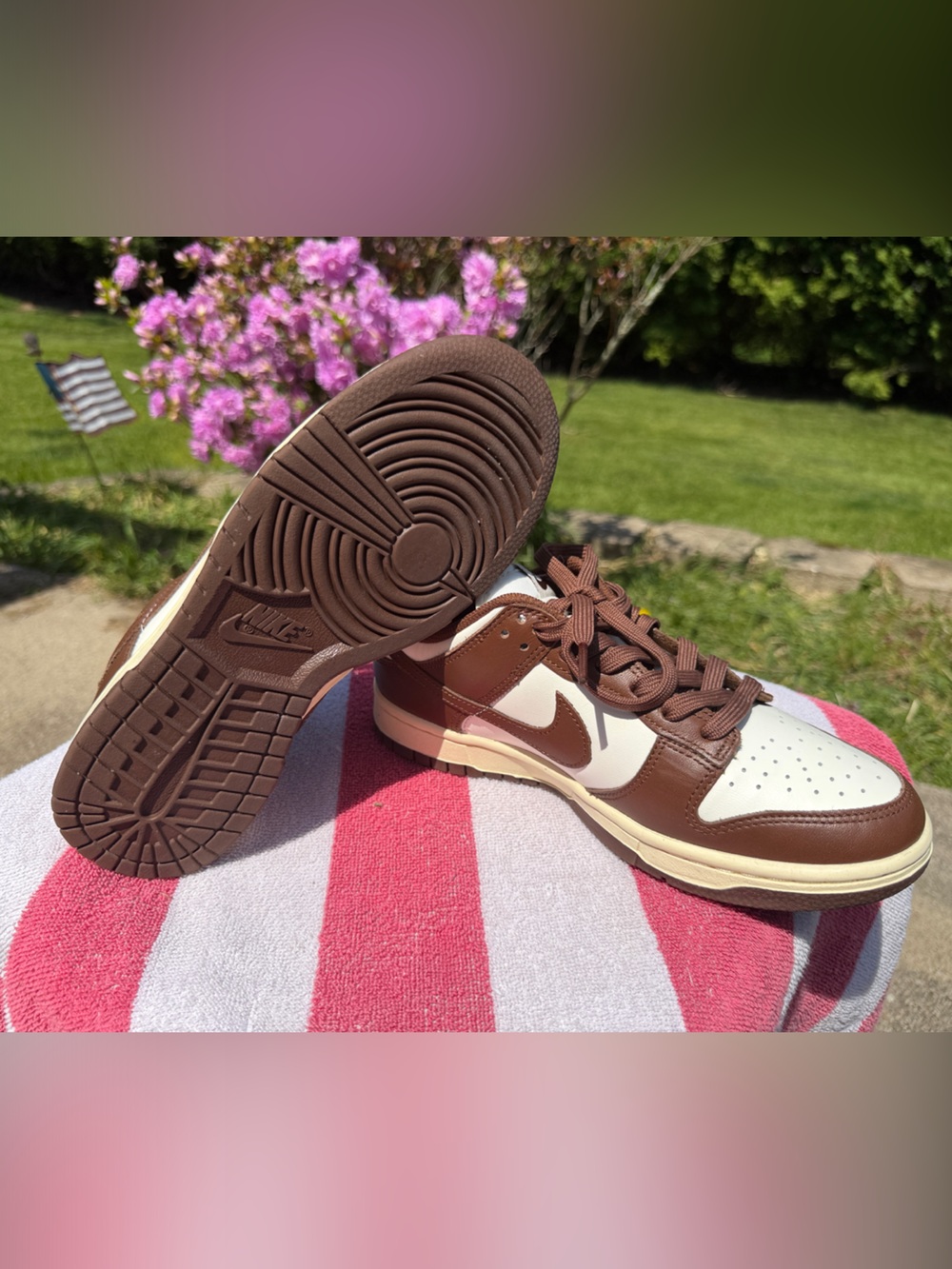 Nike Women's Dunk Low Retro 7.5 in Cacao  Wow Colorway